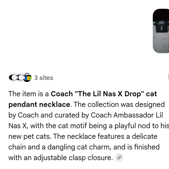 Coach Silver Chain with‎ Cat Charm